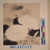 藏品(昭和11年『翠光花鳥版畫集』－夜會草)的圖片